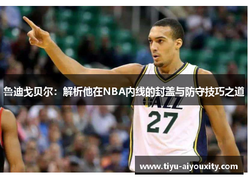 鲁迪戈贝尔：解析他在NBA内线的封盖与防守技巧之道