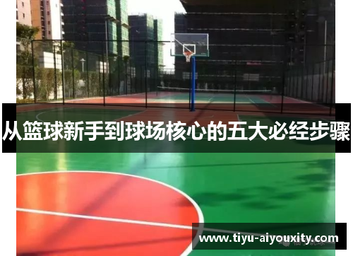 从篮球新手到球场核心的五大必经步骤