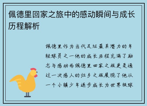 佩德里回家之旅中的感动瞬间与成长历程解析