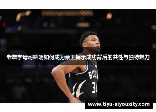 老詹字母哥姚明如何成为票王揭示成功背后的共性与独特魅力